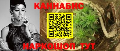 прущие крисы Кудрово