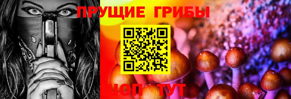 Галлюциногенные грибы Psilocybine cubensis Гуково
